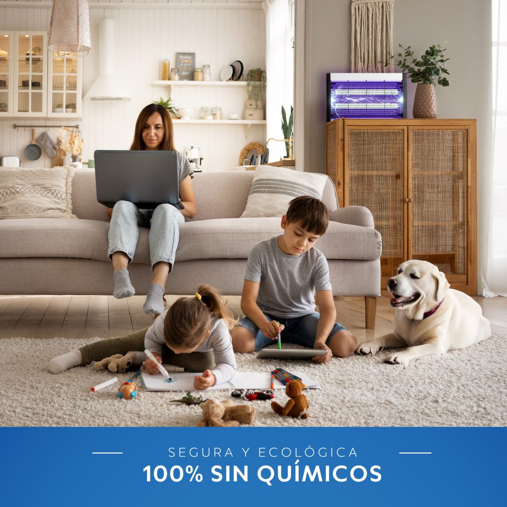 infografía para amazon
